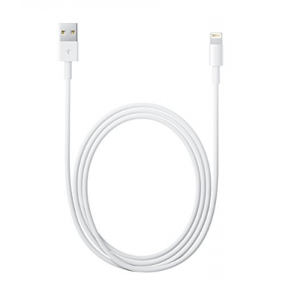 Apple Lightning to USB Cable (1 m)