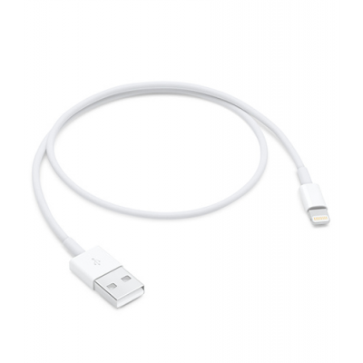 Apple Lightning to USB Cable (0.5 m) 