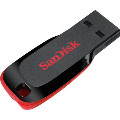 SanDisk Cruzer Blade Flash Drive 16GB